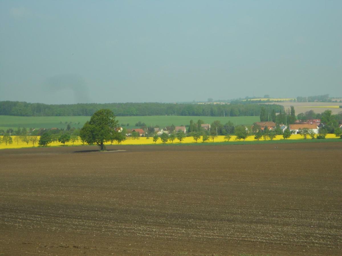 Gastehaus Schirner Hotel Niederau Buitenkant foto